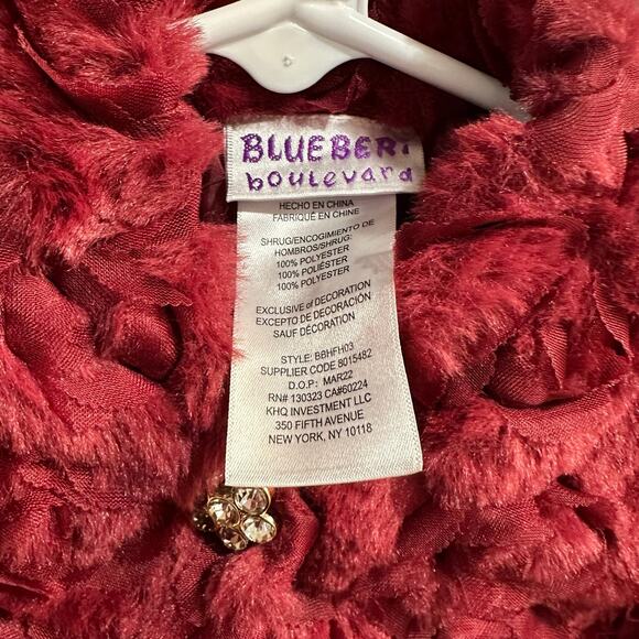 NEW Blueberi Boulevard Dress And Shrug, Burgundy, Tulle and Roses, Sz 2T (2A) - Picture 2 of 9